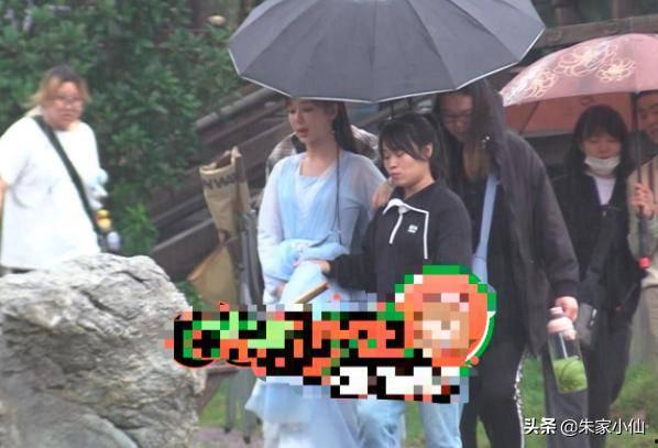 娱乐大晨姐吃瓜杨紫,杨紫的瓜田奇遇记